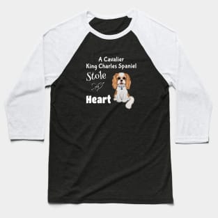 My Cavalier King Charles Spaniel Stole My Heart Baseball T-Shirt